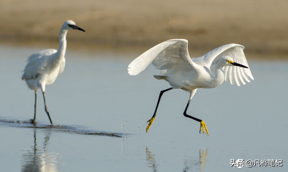 选择曝光快捷键,选择曝光