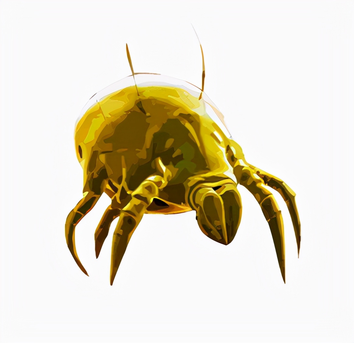 如何预防和治疗尘螨过敏？舌下脱敏绝绝子【呱呱教·166】