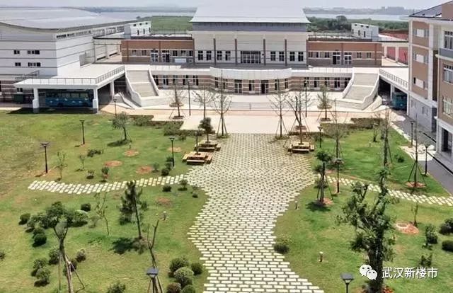 汉街幼儿园是武汉最贵的吗,武汉最贵的幼儿园多少钱啊