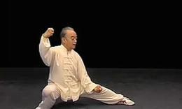 马虹太极完整视频,马虹太极拳借力