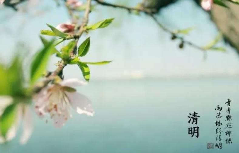 历史上的唐朝清明节,唐朝时代清明节习俗有什么