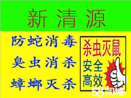 专业灭鼠灭蟑螂杀白蚁哪家强,阜阳专用灭鼠灭蟑螂杀白蚁哪家好