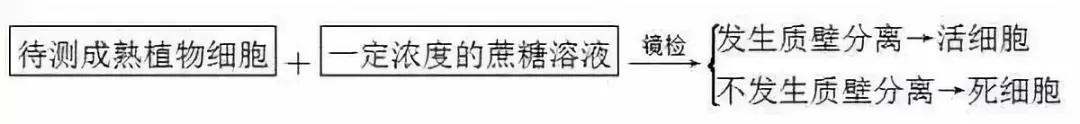 河南高中会考生物必背知识点,生物显微镜实验视频高中