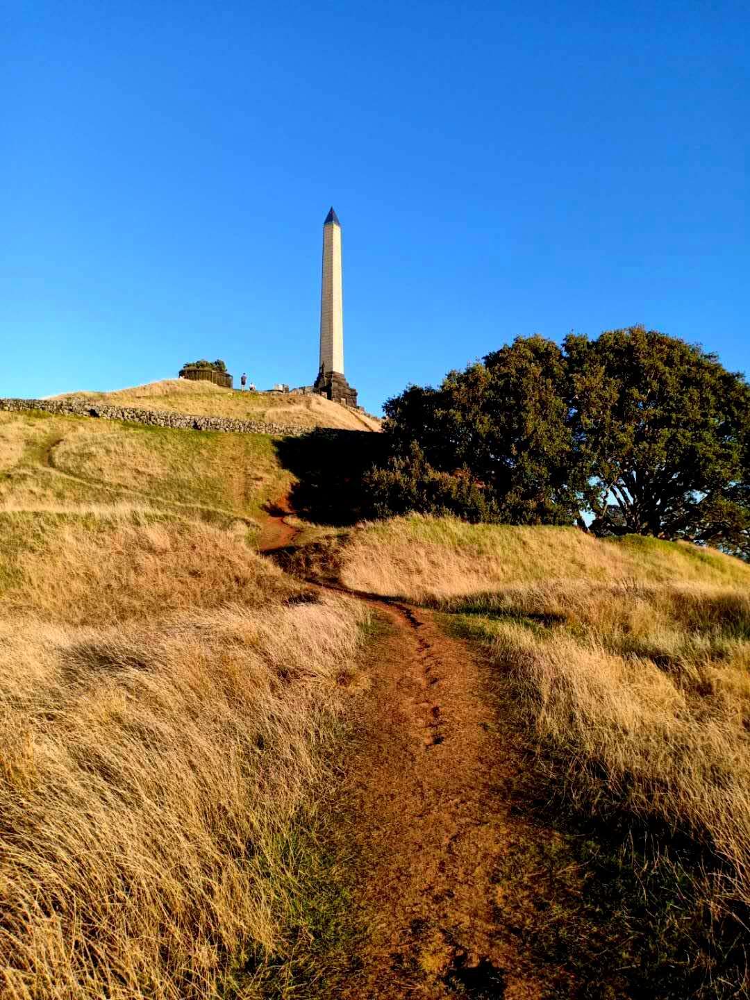 一树山,我的精神家园