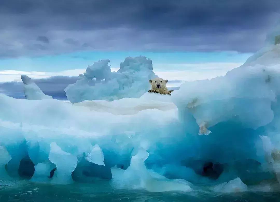 它连续N年被评为全球最宜居国度No.1，此生攒钱也要去！