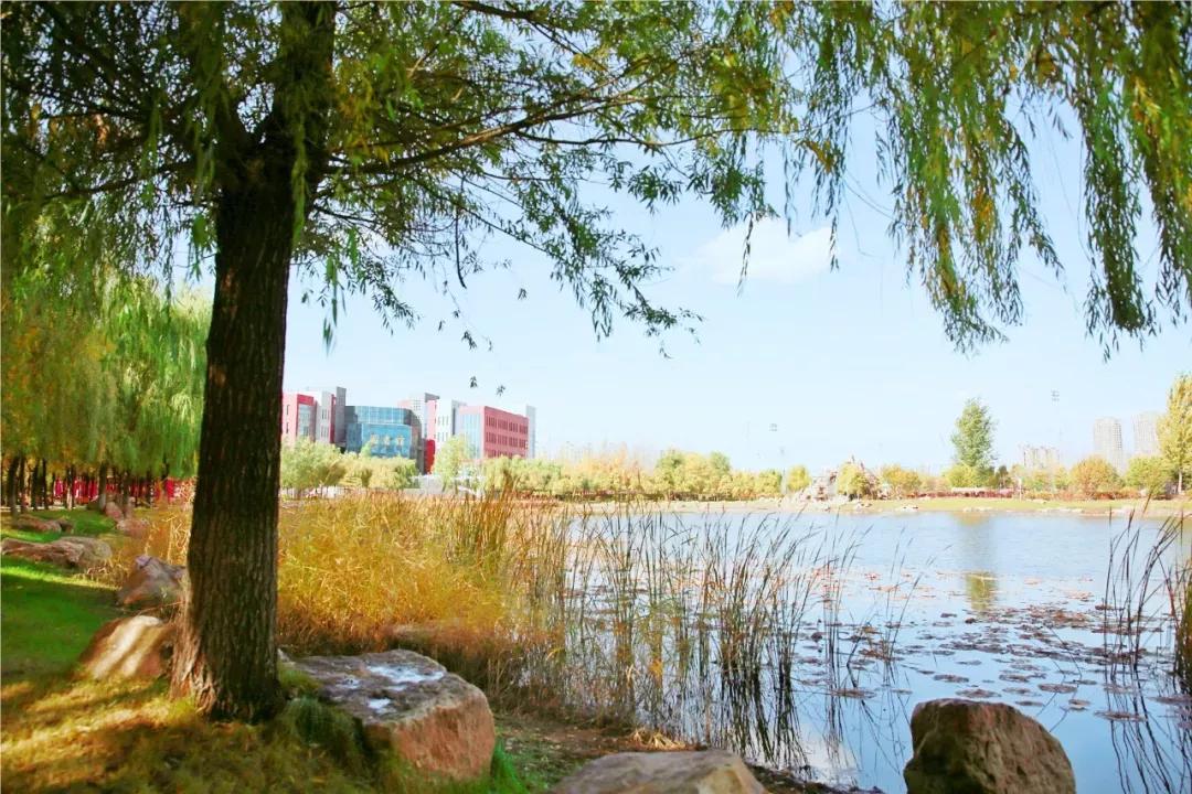 辽宁中医药大学杏林学院独立学院,辽宁中医药大学三个校区