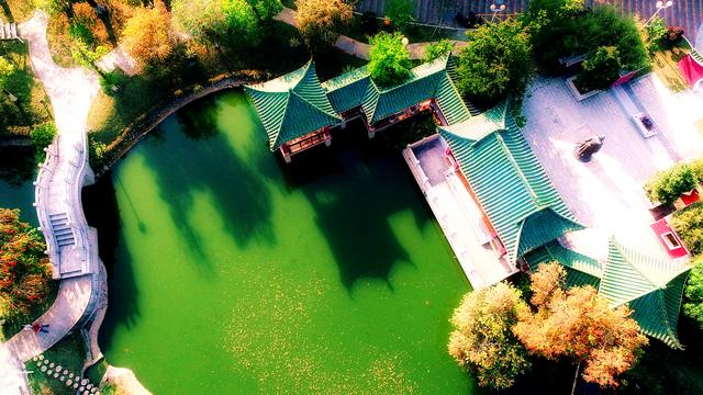 中山市的十大高中学校排行榜,中山最好五所高中