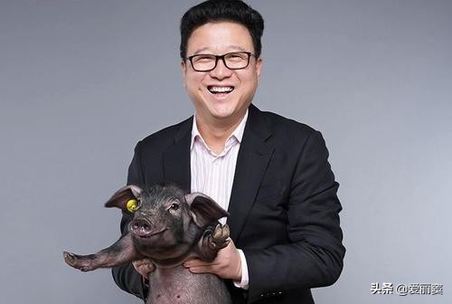 公司首次公开募股的估值模型,网易公开募股