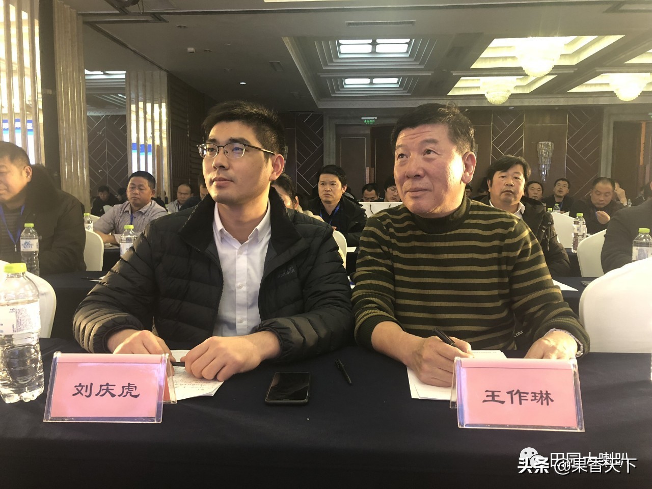 赋能新科技，肥效是王道