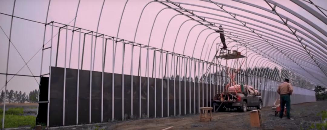 董菜菜抖音,董菜菜最新视频