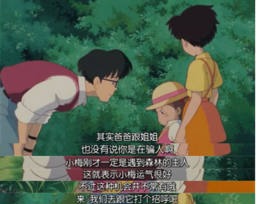 怎样才能和龙猫增进感情,如何跟龙猫快速增进感情