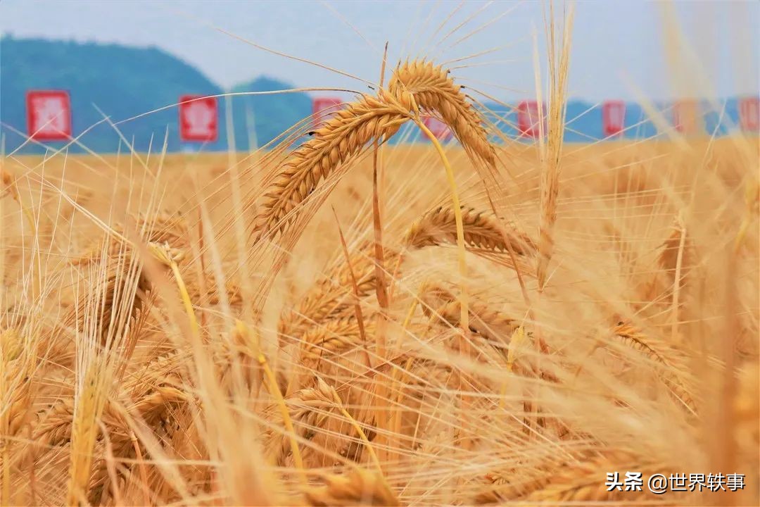 史上最全白酒酿造工艺,酿酒技术知识大全集
