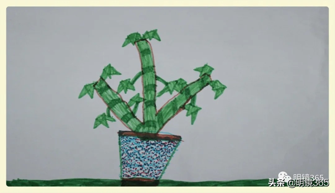 如何打造自己的心智模式,怎样建立正确的人格