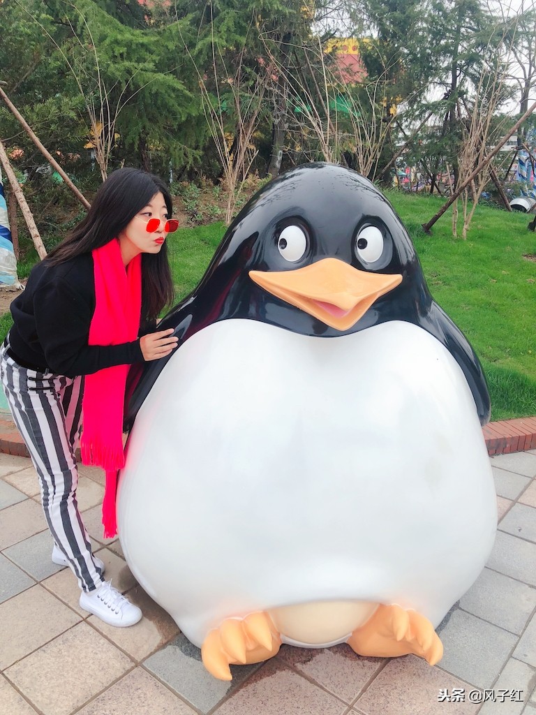 上海新地标丨海昌海洋公园一日游园玩法攻略