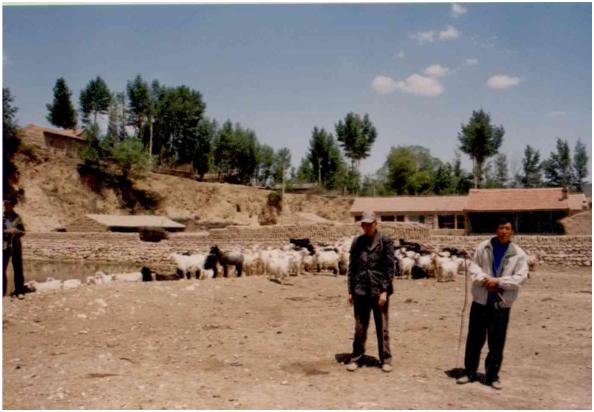 广灵县游历,广灵县科目三考试路线图