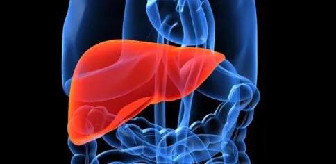 乙肝合并脂肪肝，能改变肝病进展，增加肝癌风险！听听医生的建议