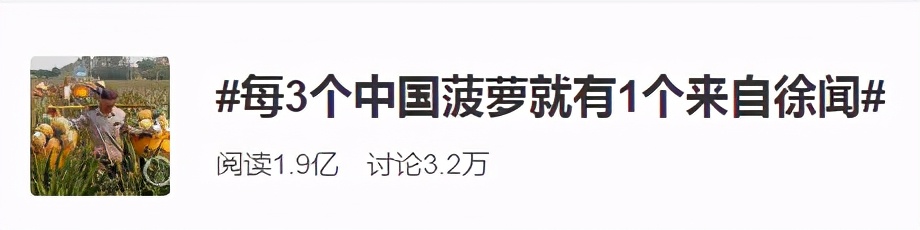 热搜1.9亿的“菠萝的海”，其实还产油