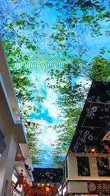 昆明的网红小吃街在哪里,昆明网红小吃城千千烧花甲粉