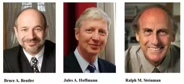 肿瘤免疫治疗费用,肿瘤免疫治疗是什么意思