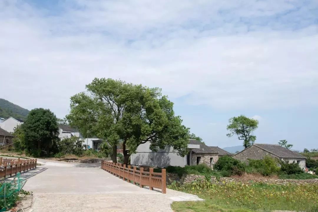 逃离城市躲进山野享受冬日暖阳,安静而美丽的渔村