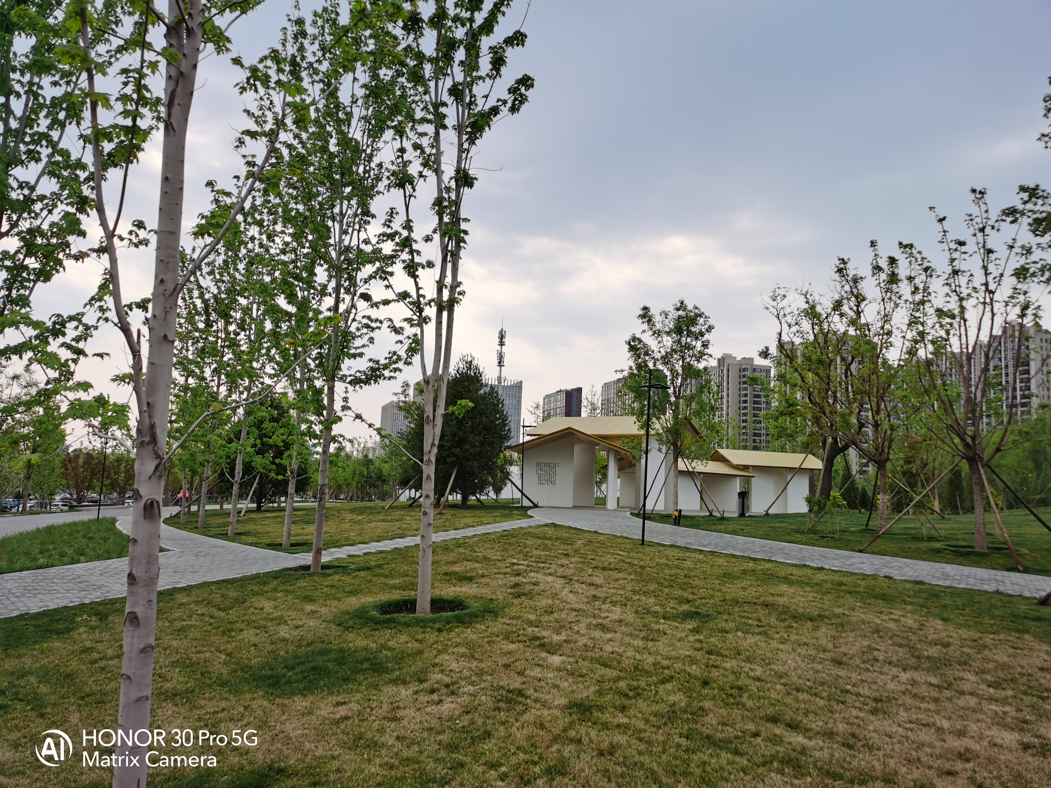 荣耀热门五款机型拍照对比：分别是Play4T/X10/30S/30/30Pro