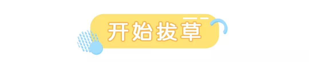 护肤品这些年踩过的坑,不要踩坑的护肤品