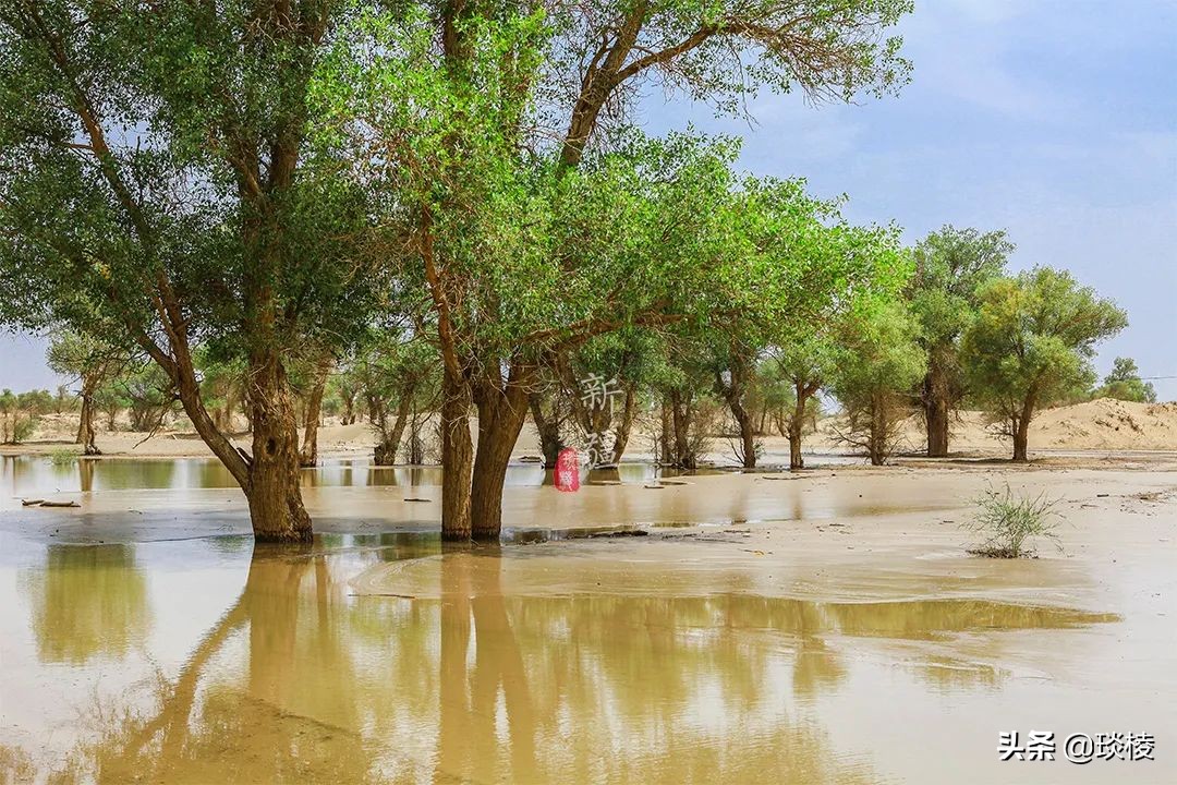 中国66号公路旅游攻略,中国自驾游66条经典线路