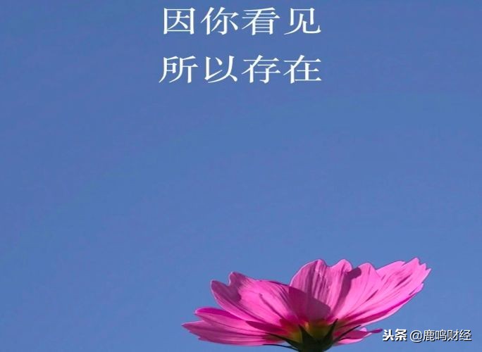 移动互联网未来10年发展,2018-2021互联网发展史