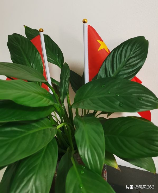 生命教育之殇~青少年自杀的思考