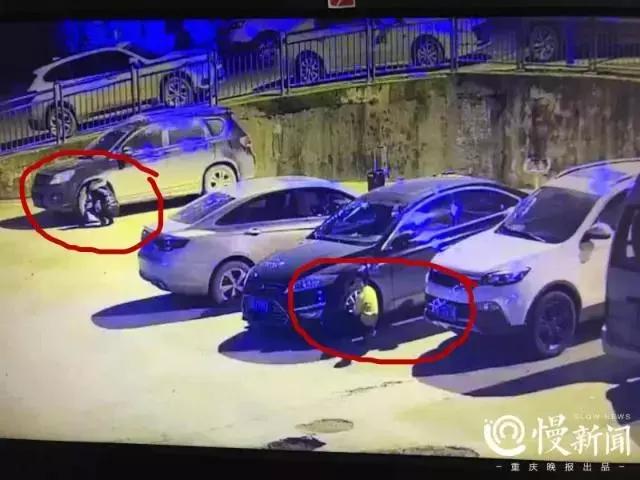 面馆开业免费5天，结果……沦陷了！网友：老板你后悔没？！