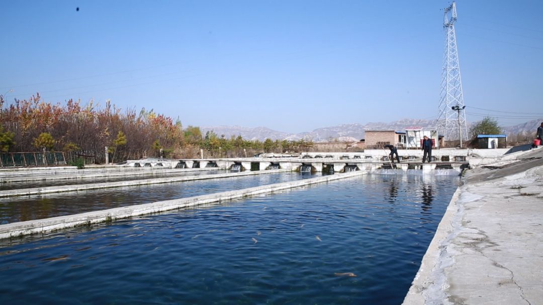 不可思议今非昔比,雁门关外的真相