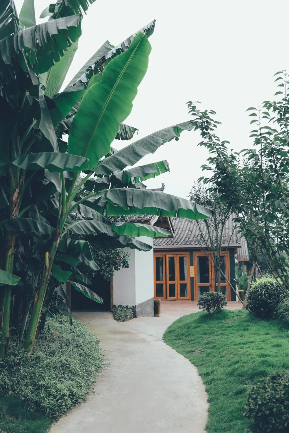 周末去哪里玩成都室内,周末去哪儿玩儿成都周围