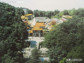 智神张闲逸,文言版第二十集：相爷蹲茅坑混混背驮人