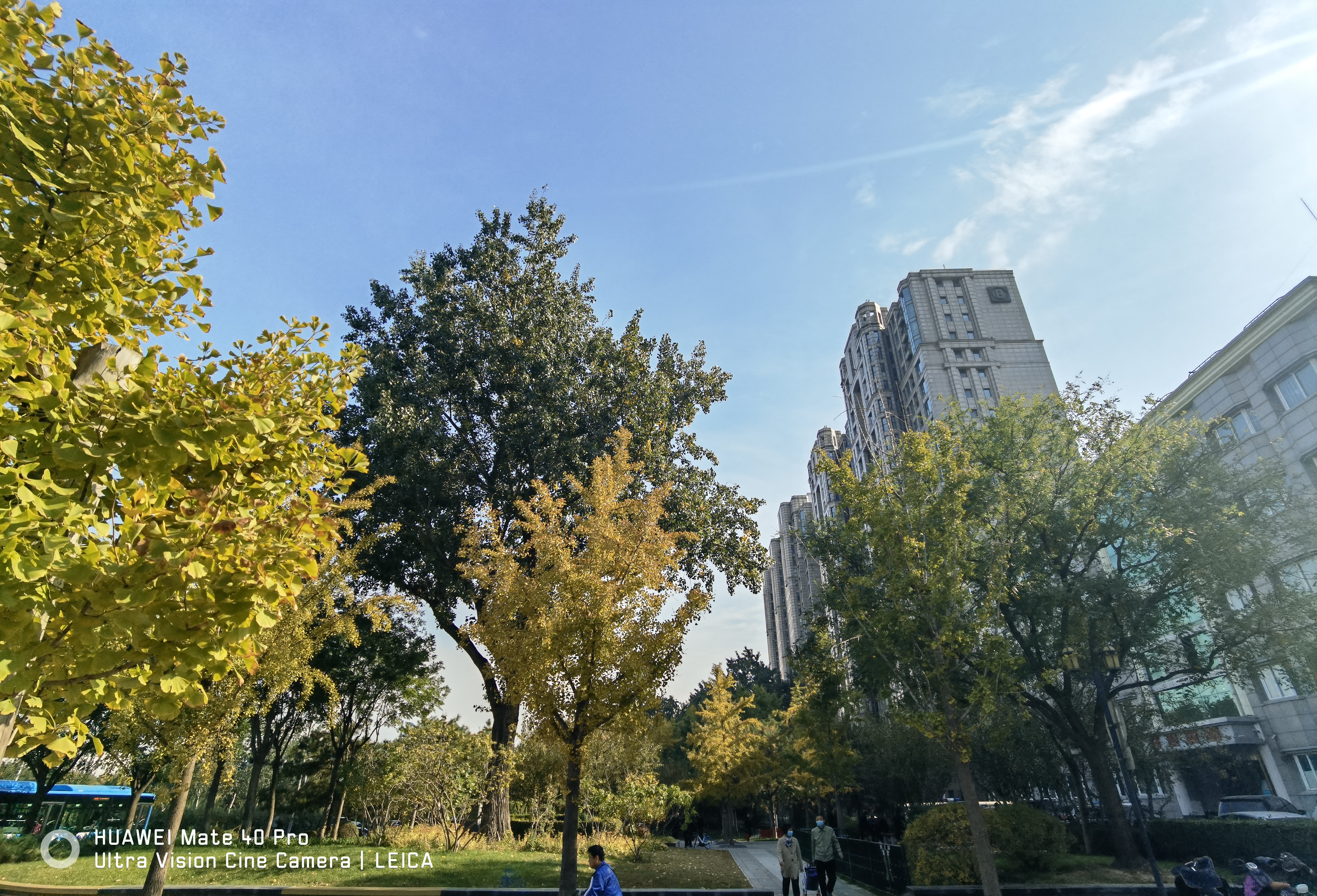 一起感受下华为mate40pro的压迫感,华为mate40pro秋日胡杨为什么贵