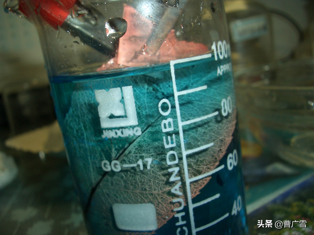 叶脉造型创意画幼儿作品,孩子喜欢的儿童创意画教程6-7岁