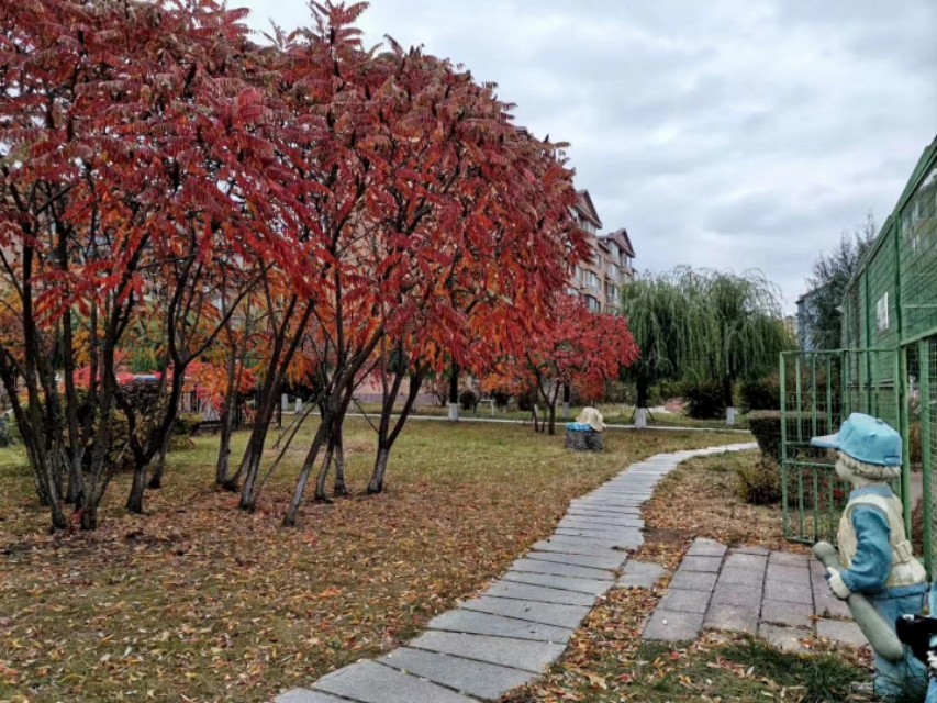 鞍山明达世纪花园怎么样,鞍山明达世纪花园四室