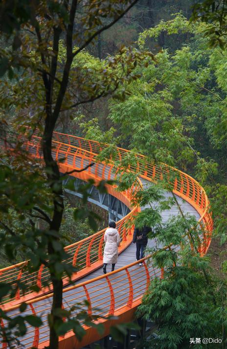 成都top100小区,成都最美top10图书馆