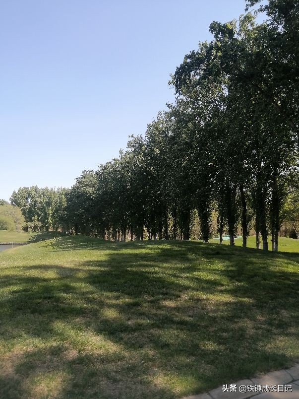 北京市延庆野生动物园,北京野生动物园攻略一日游路线图