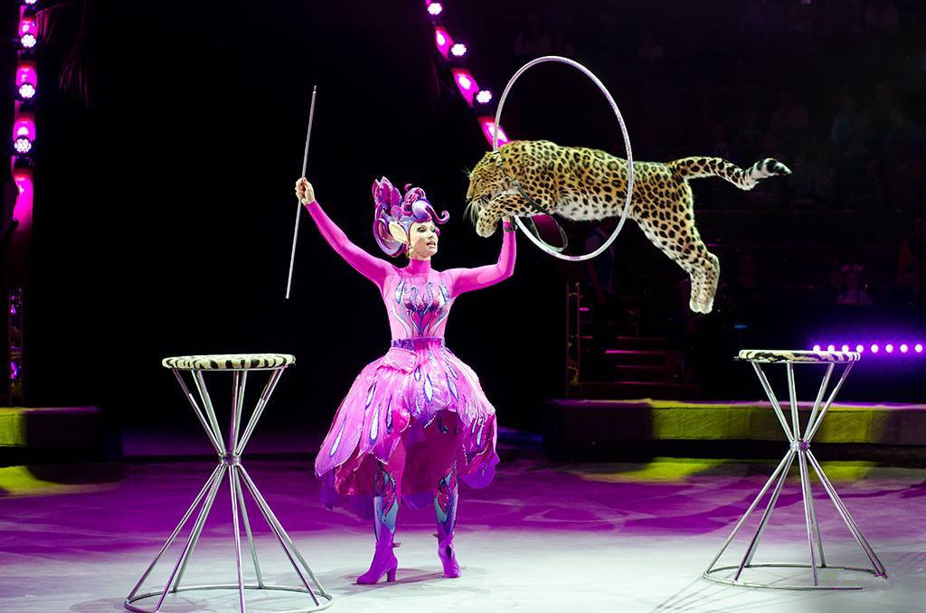 俄罗斯莫斯科大马戏票价,莫斯科大马戏完整视频