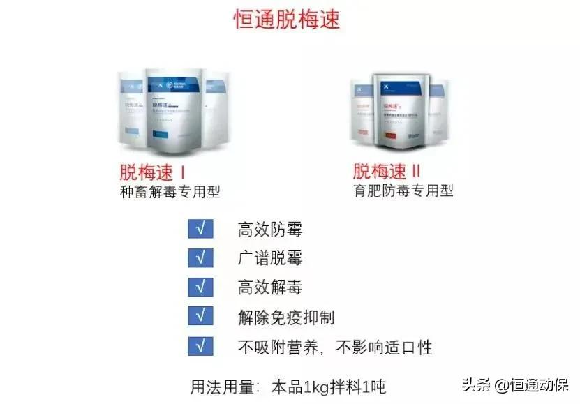 吃新玉米导致的猪腹泻怎么治愈,新玉米喂猪拉稀能吃玉米面吗