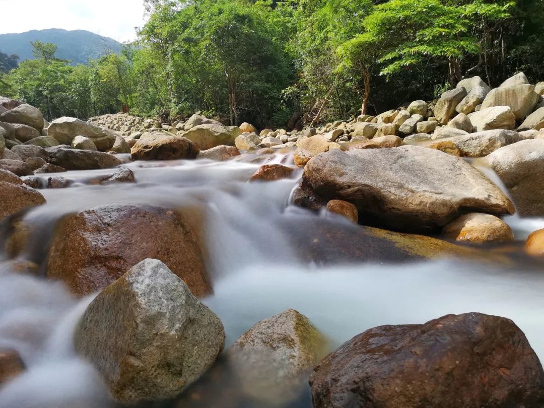 贺州姑婆山景区国家森林公园,贺州姑婆山森林公园路线
