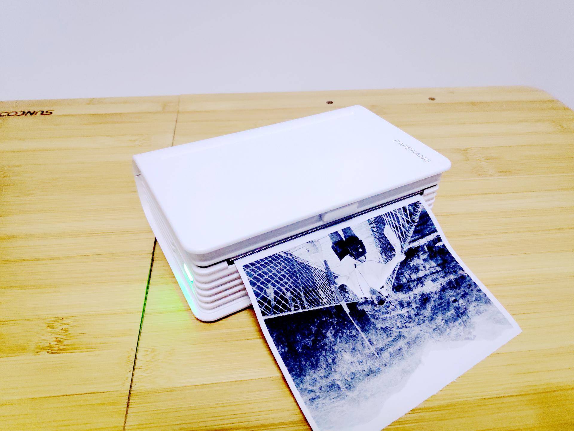 喵喵机最新款max,喵喵机max打印设置