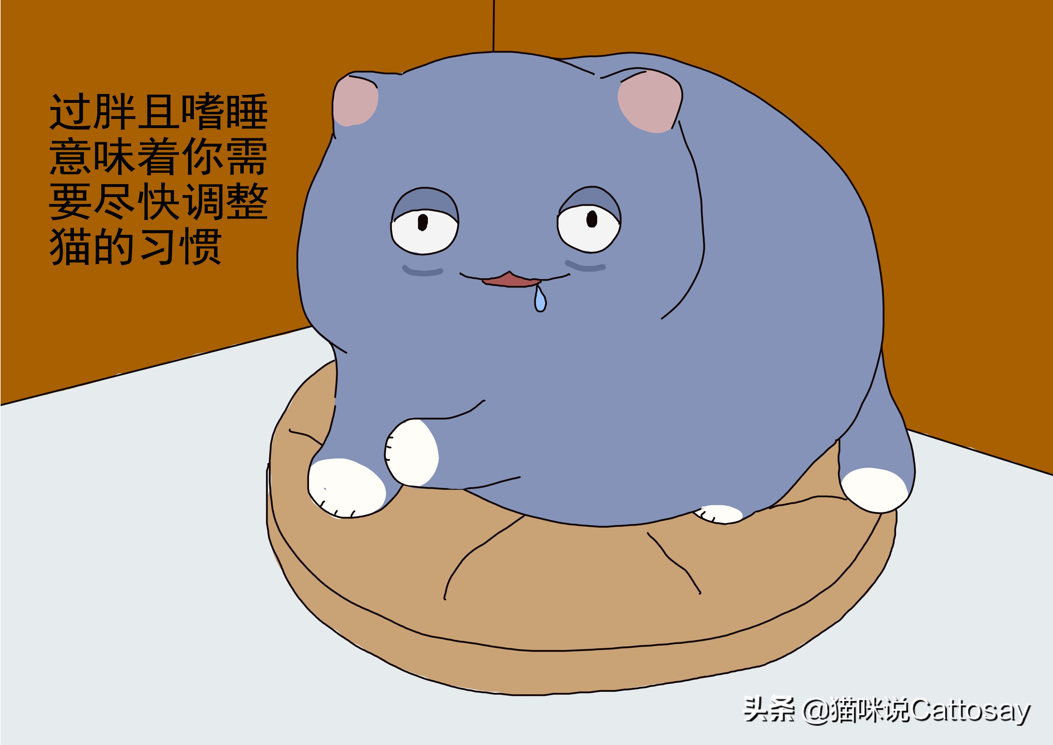 胖猫减肥最有效的方法,胖猫减肥励志视频