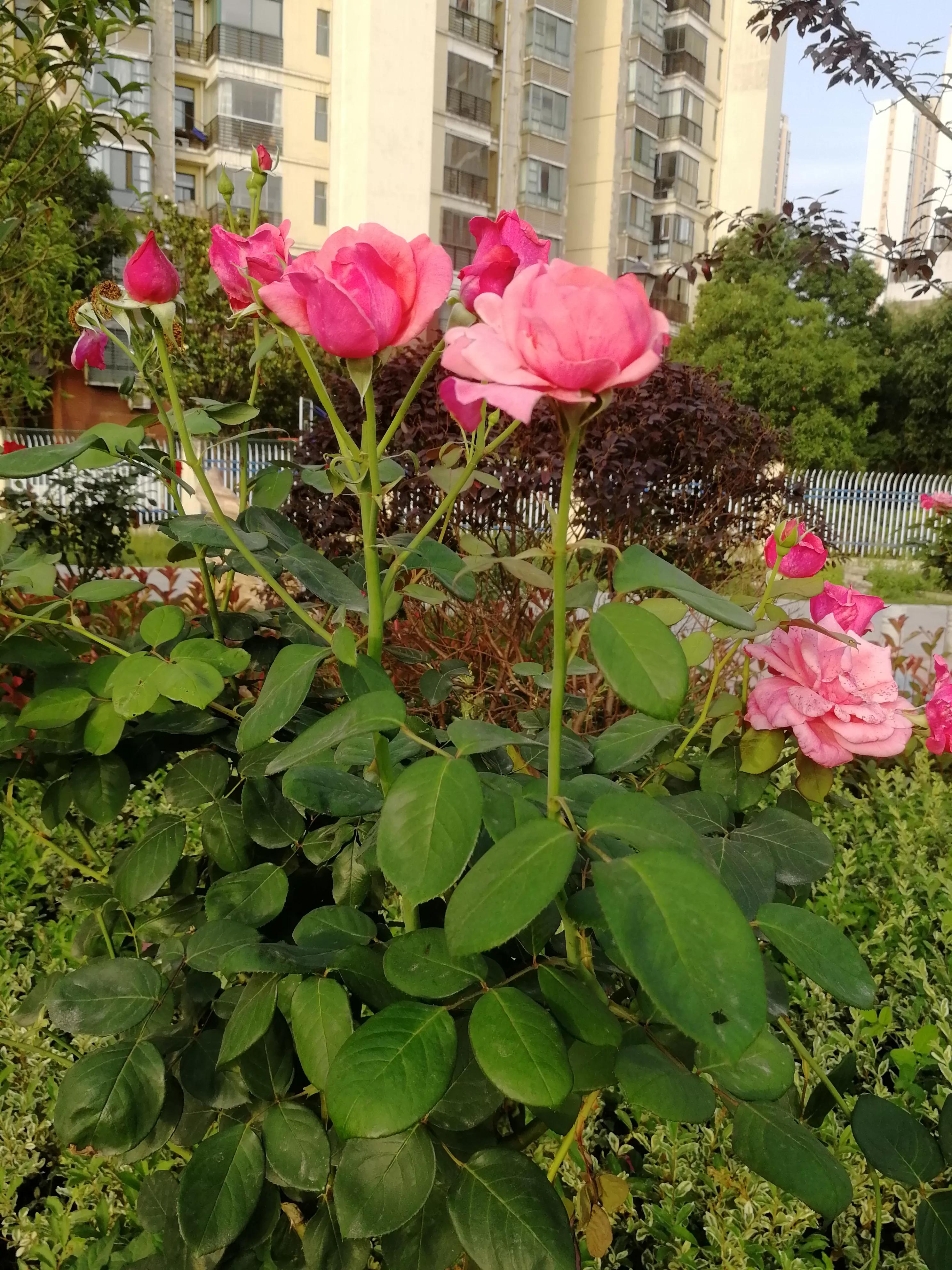 在身体还允许走动时，去看看小姨