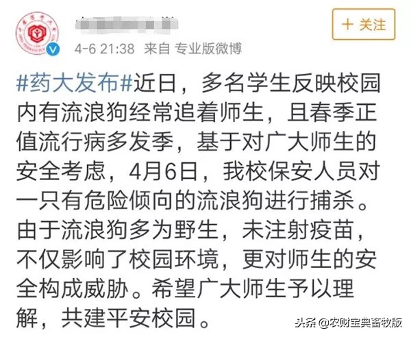 大学生在宿舍养猪被学校批评,大学宿舍养猪被通报