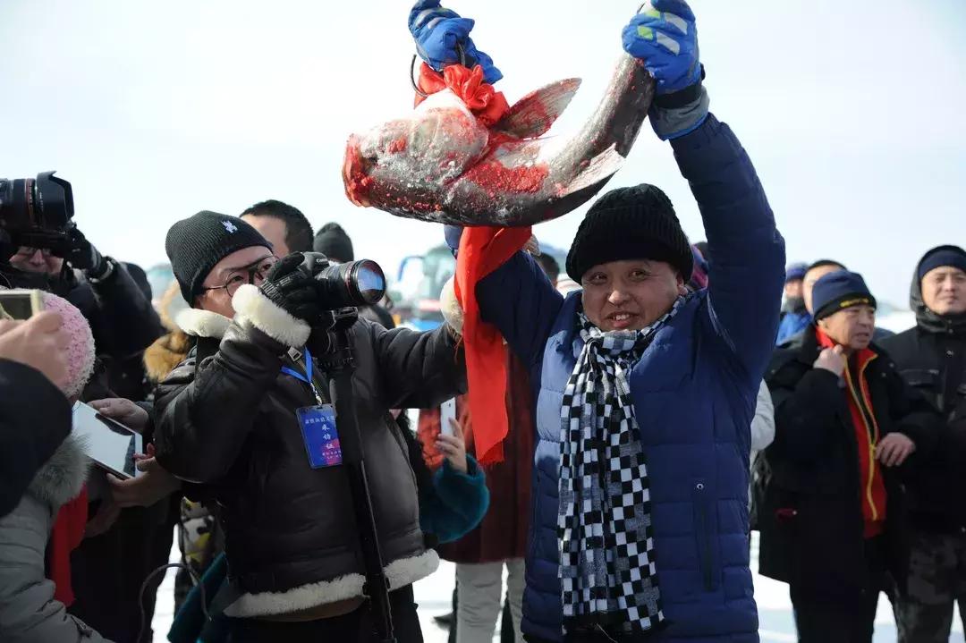 大美龙江黑河恋歌视频,大美龙江冰雪画