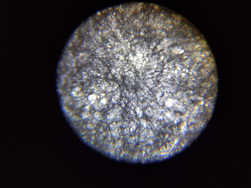 花式搞机:投影仪加上手机投屏秒变显微投影设备