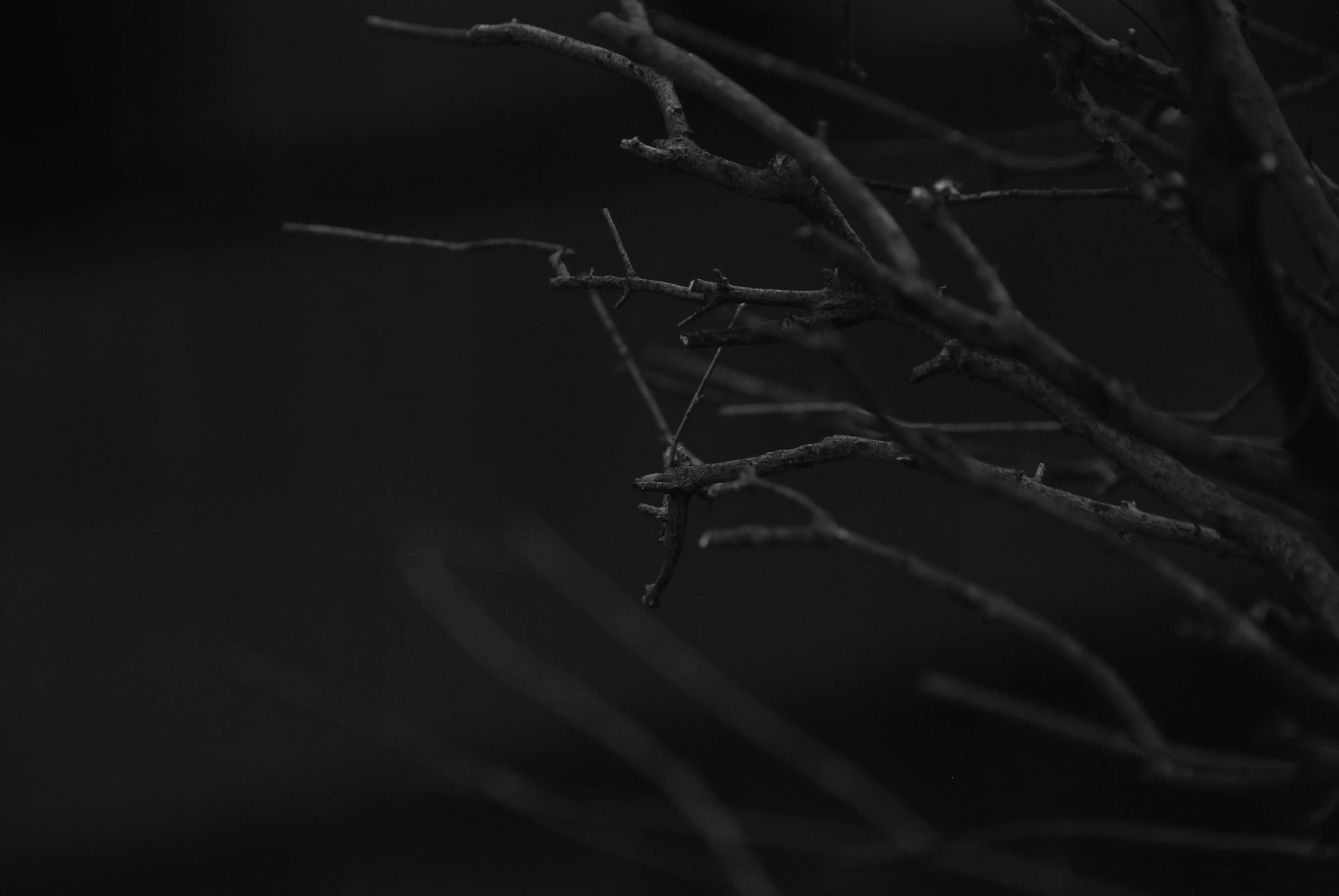 1000元二手全画幅单反相机推荐,2022最建议买的二手单反相机