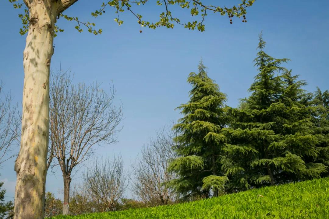 郑州亲子游户外公园十大排行榜,郑州免费适合遛娃玩的公园