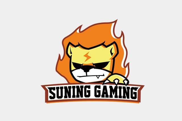 阿里入主苏宁后,董事长换帅,“太子”张康阳为啥落选?